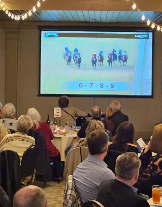 Spectators watching a race at Springboro Rotary's 2025 Night at the Races.