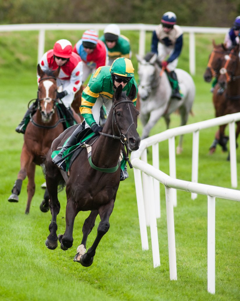 Springboro Rotary's 2025 Night at the Races Campaign